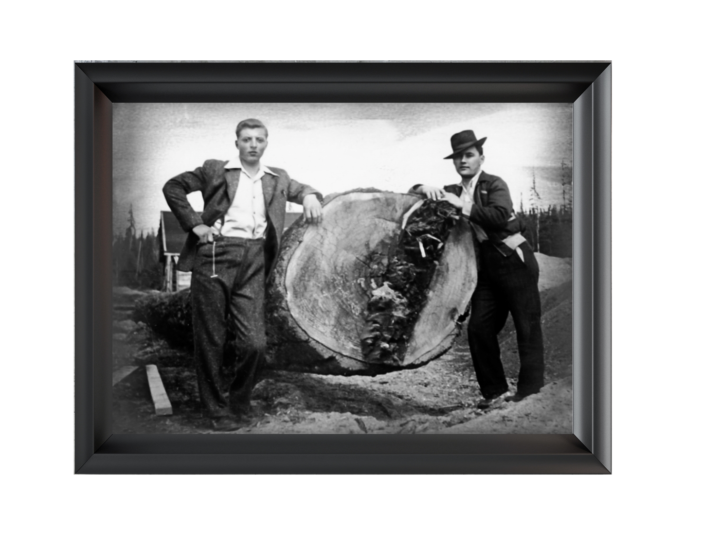 Glass-Free Framed Print