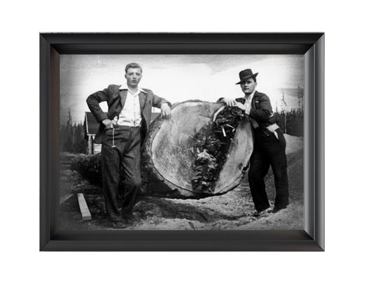 Glass-Free Framed Print