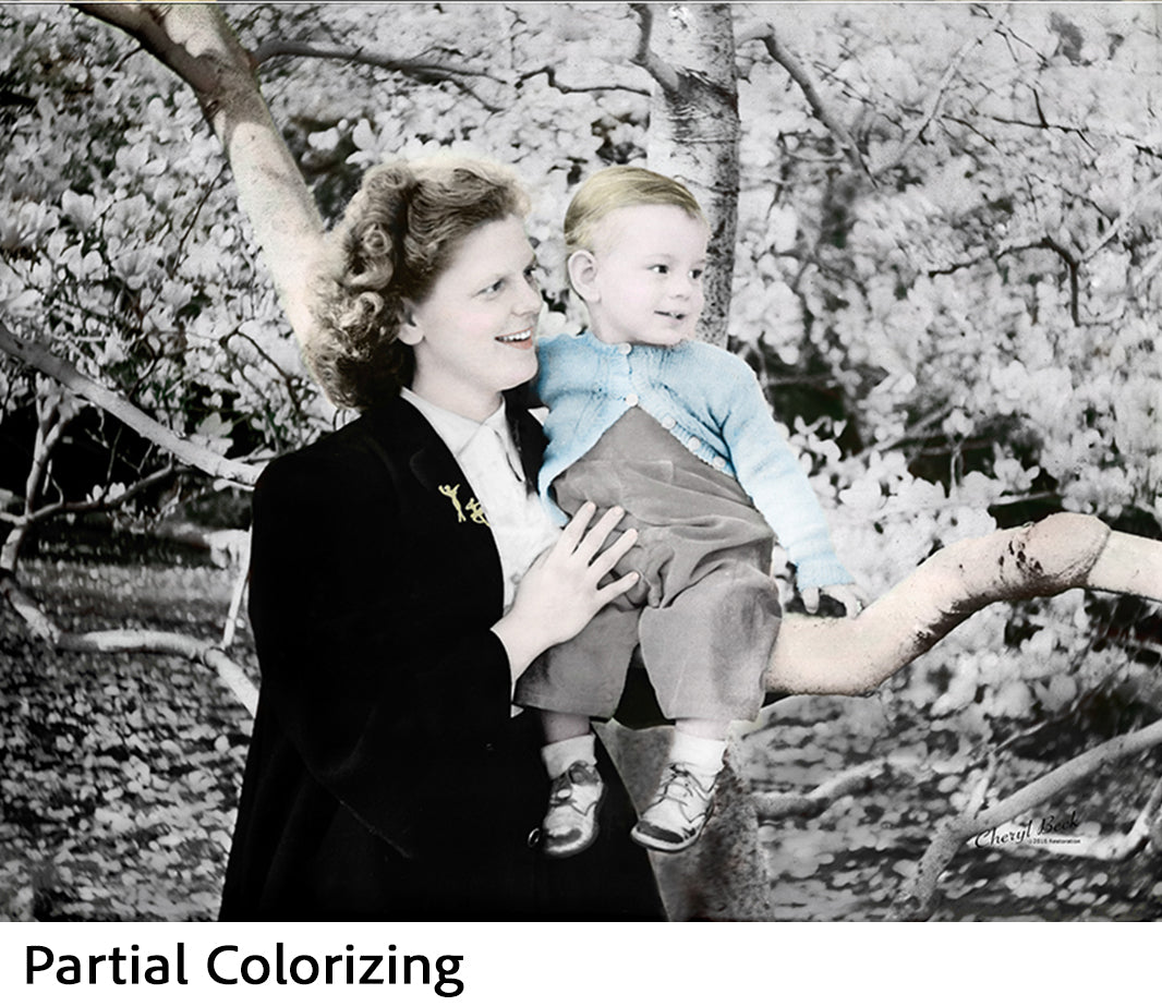 Colorizing - Partial Image