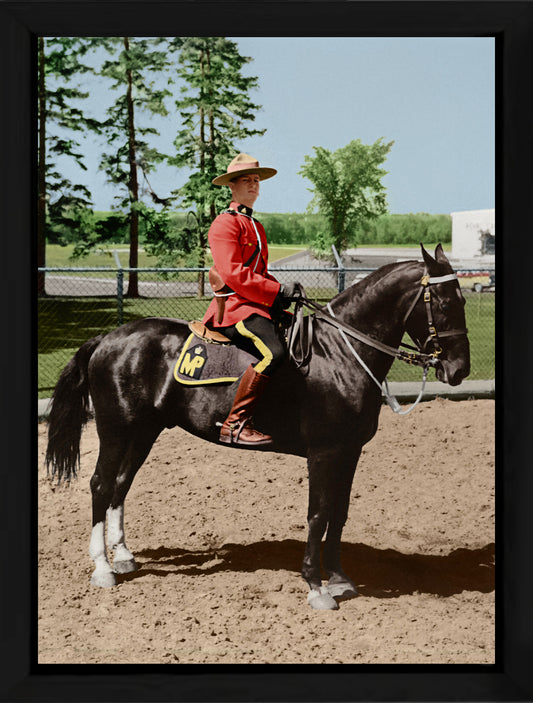 Metal Prints — Frame Ready, Float Mounted, or Framed