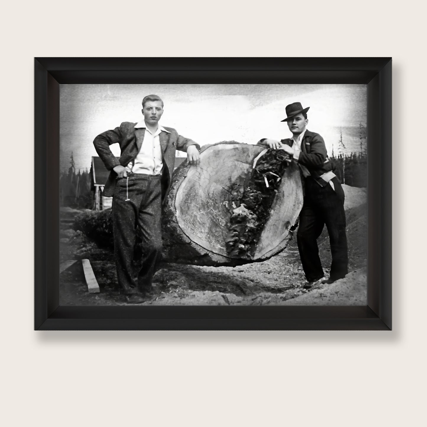 Glass-Free Framed Print