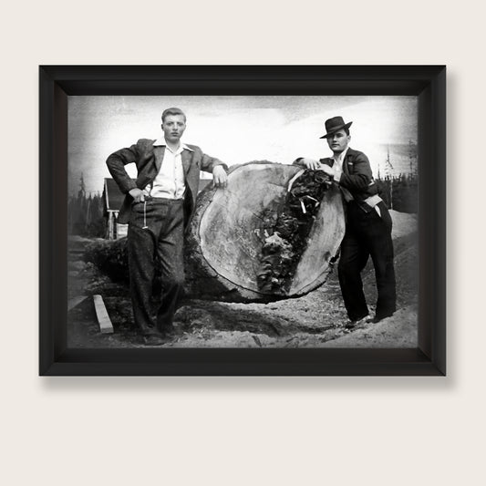 Glass-Free Framed Print