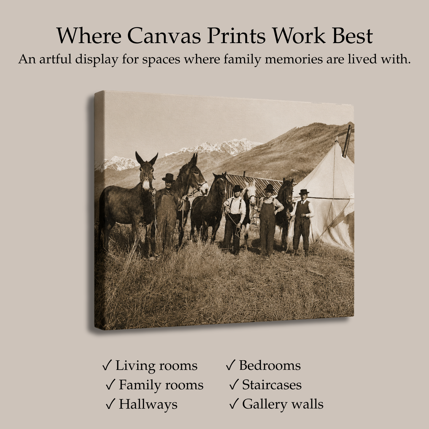 Canvas Prints - Gallery Wrap, Frame Ready