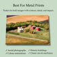 Metal Prints -(Desk Display)